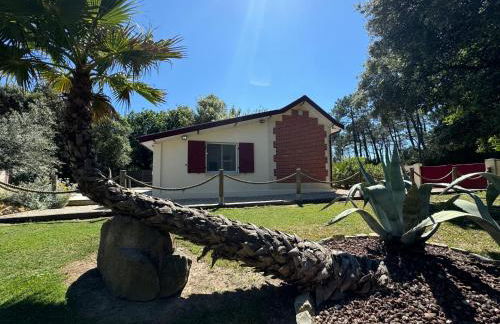 Le Chai de l'Océan - Villa Soulacaise plage à 100m Piscine Jardin 1400m2 - Foto 19