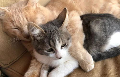 Terre Iblee Resort - Foto 121