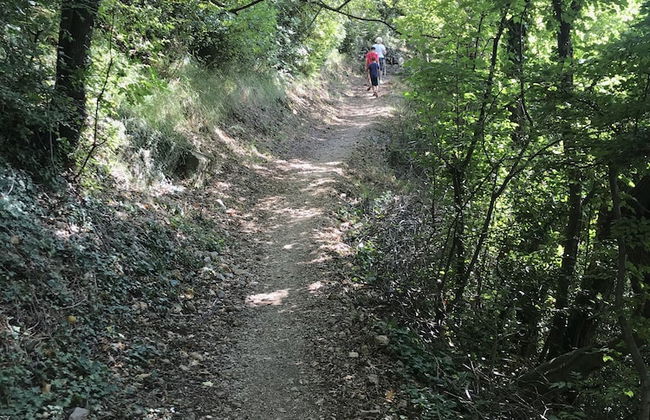 Apartments Six - Foto 38