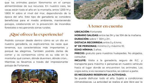 Apartamentos de Turismo Rural La Rocha - Foto 3