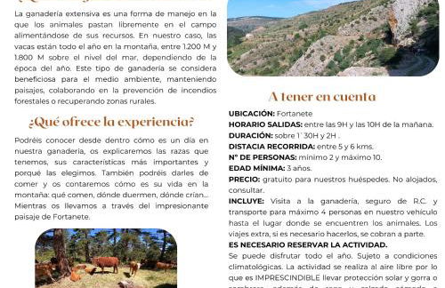 Apartamentos de Turismo Rural La Rocha - Foto 3