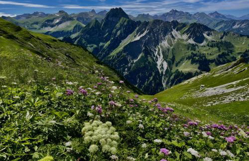Ferienwohnung Bergrose - Photo 19