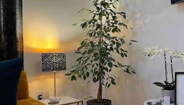 Watchhall, Annan, Dumfries & Galloway, Scotland Barn - 2 Bed - Foto 5