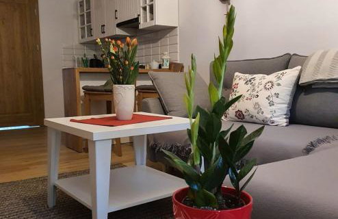 Osada Słoneczny Zdrój - Foto 32