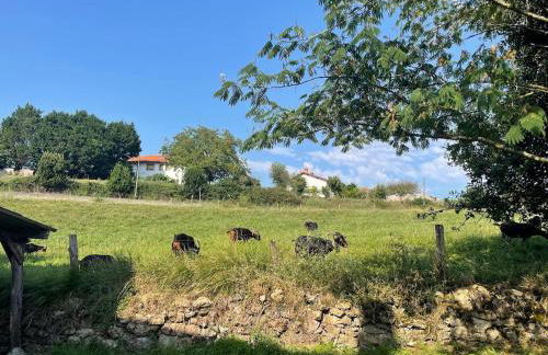 El Molino de Mateo - Foto 12