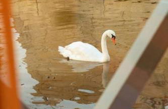 SLEEPBOAT- Modern Houseboat in Porto - Foto 15