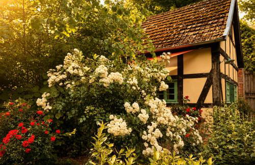 Idyllisches Ferienhaus Nähe Dümmer See Auszeit Sauna Natur - Foto 4