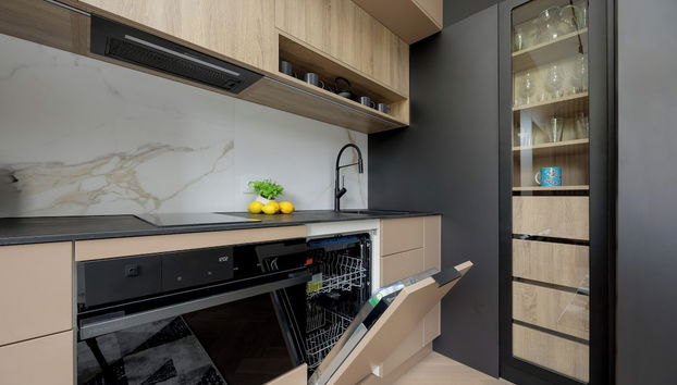 Studio Centre of Warsaw by Renters - Foto 5, Cocina privada