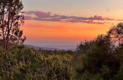 Yosemite & Bass Lake 3 Acres, Pool, Game Room, Stunning Views - Foto 51