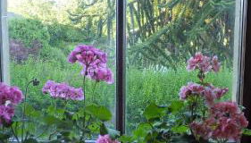 Kinneil Self Catering - Photo 3