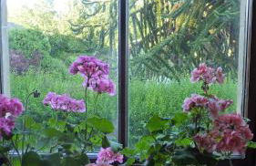 Kinneil Self Catering - Photo 3