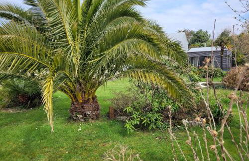 saint lunaire - Photo 38