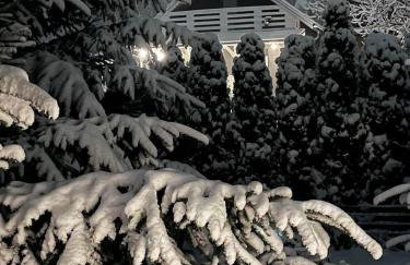 Bryziówka - Foto 49