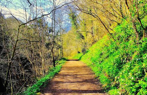 Spacious & modern 3 bedroom house in Peterlee - Foto 12