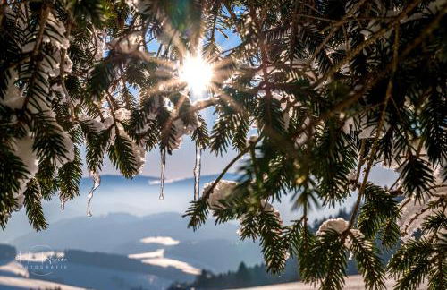 Haus Panoramablick - Fewo Alpensicht, 4 Schlafzimmer, Höchenschwand - Foto 18