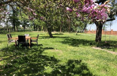 2 at Lake Ruppin - Foto 14