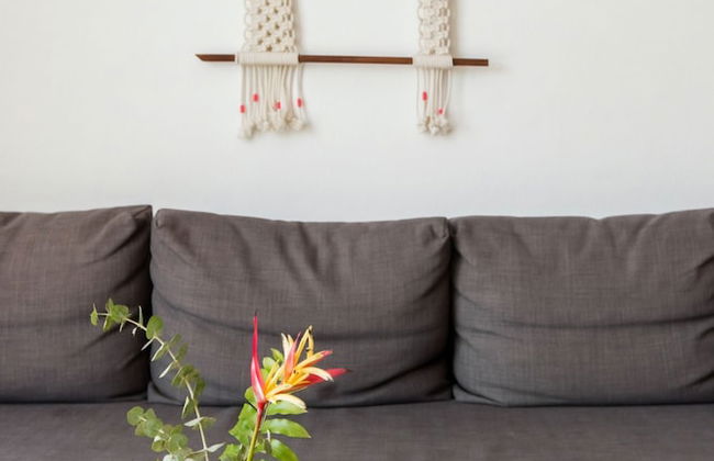 TROPICALIA by DW - Foto 10