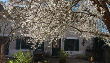LE COTTAGE DES SABLONS près du zoo de Beauval - Foto 2