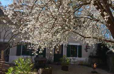 LE COTTAGE DES SABLONS près du zoo de Beauval - Foto 2