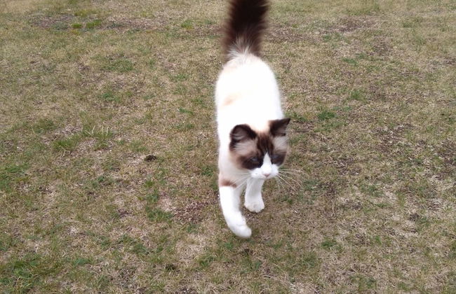 Kvarngården Natur Resort - Foto 53