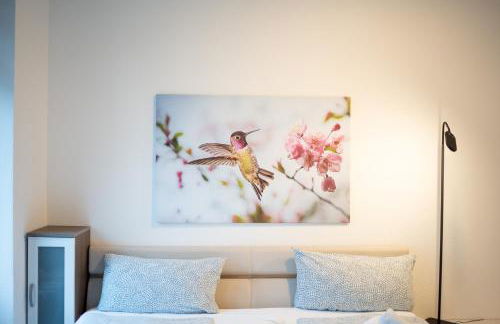 Modernes Studio Koblenz mit Küche, WLAN & Gemeinschaftsbad - Foto 16