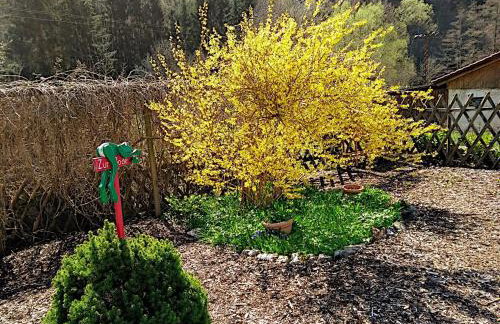 Ferienhaus Bodebaude - Photo 2