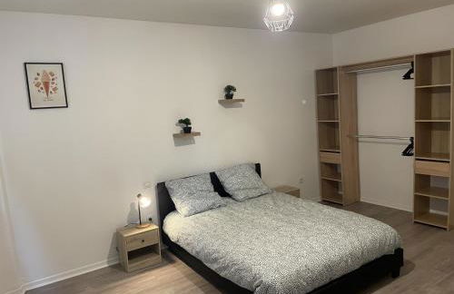 Hyper centre Saint-Gaudens appartement neuf - Foto 6