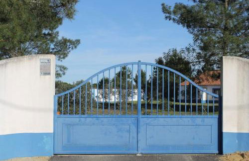 Casa do Pinheiro - Foto 11