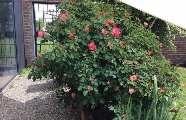 Agriturismo La Morosina - Foto 37