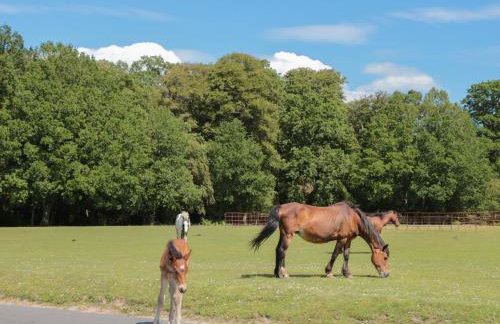 Brook Farm - Foto 48