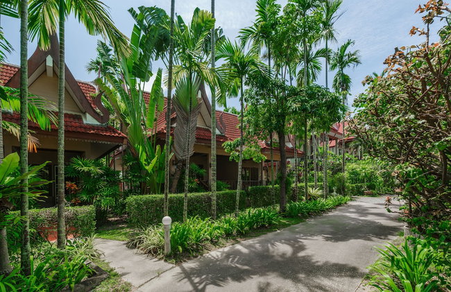 Palm Village - Photo 61