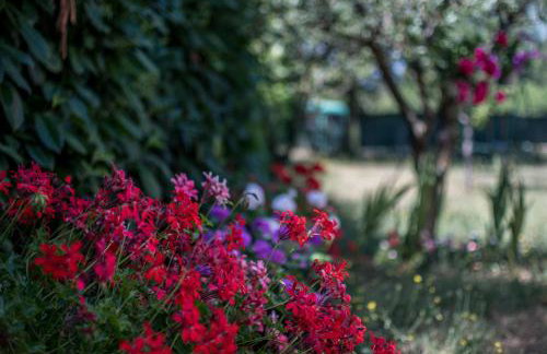 Holiday Home Suzana 1276 - Foto 24