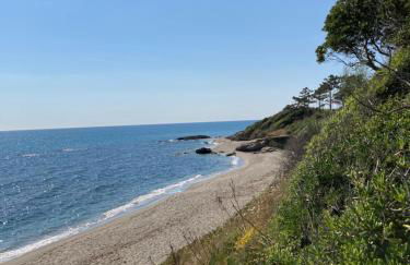 Maison pieds dans l eau avec piscine et clim - Foto 1