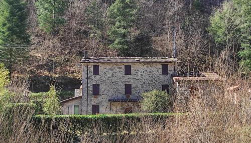 Casa Vacanze IL BOSCACCIO "Casa Serena" - Foto 5