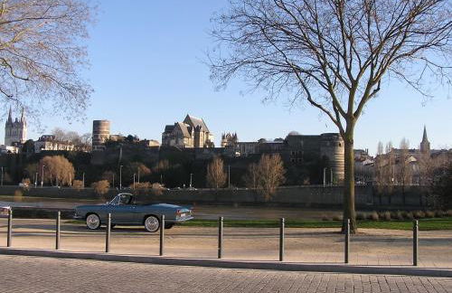 a 10 mn d Angers petite maison indépendante - Photo 13