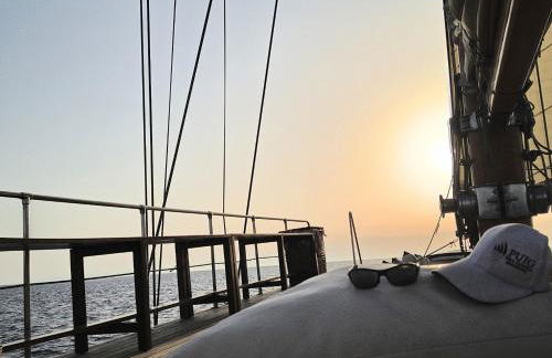 Southern Cross - Foto 11