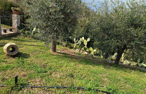 Terra Lenù - Foto 10