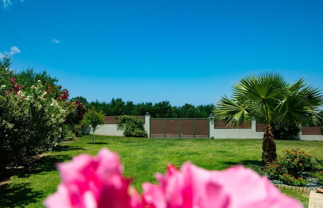 Villa Dimokratia - Foto 43