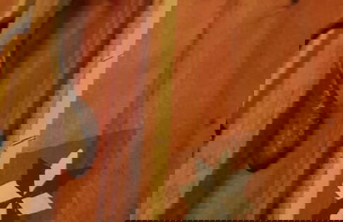 Masseria Frangiosa - Foto 44