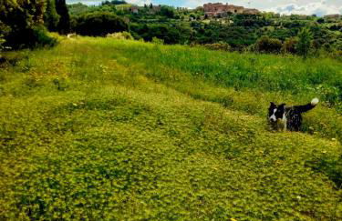 Nocini di Maremma - Photo 54