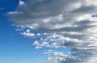 La Vigneronne - Foto 49