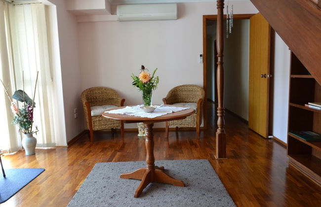 Dolphin Lodge - Photo 29