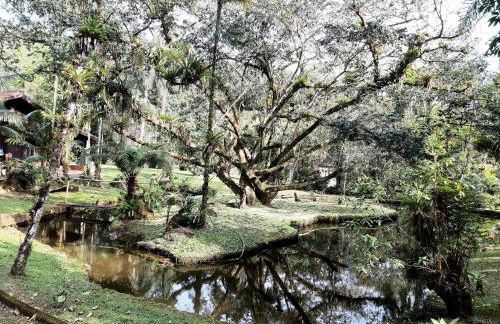 Magia e lazer - Chácara Lucinda - 12km do centro de Morretes - Foto 2