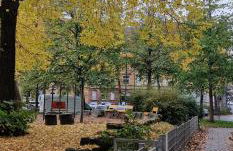 Familienfreundliche geräumige Design-Wohnung mit Balkon im Zentrum - APOLONIAliving - Foto 12