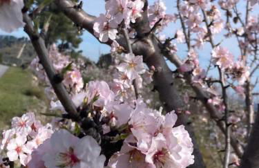 Casa Da Trigueira - Foto 63