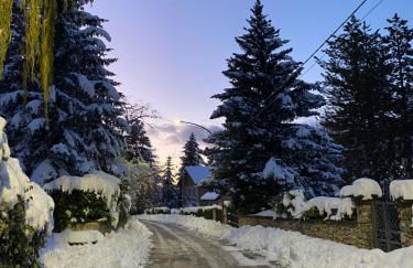 Appartamento immerso nel verde - Foto 18