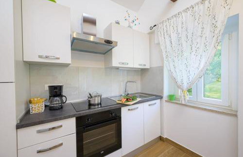 Villa Dobrila by IstriaLux - Photo 39