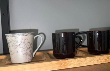 Pé na Sapucaí! Apto Completo, Decorado e Metrô na Porta - Foto 66