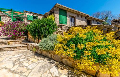 House Moj mir - Foto 28