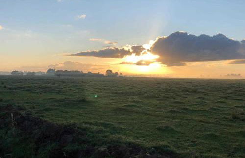 Ferienhaus Käpt´n Poldi 25192 - Foto 6